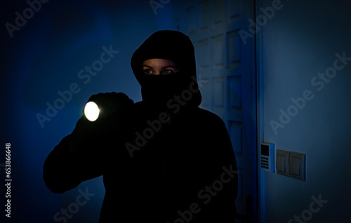 Photos Female thief breaks into the apartment through the front door.