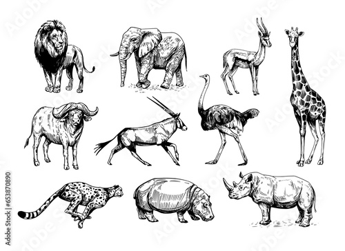 African animals, lion, elephant, gazelle, rhinoceros, cheetah, antelope, hippopotamus, rhinoceros, giraffe. Set of vector sketch illustrations