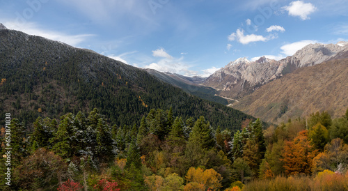 Autumn forest with snow capped mountain photography , Huanglong Valley in Sichuan Province, China.