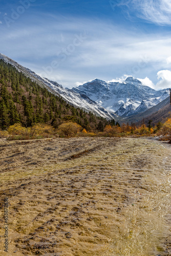 Seven Mile Golden Sand in Huanglong, China, Amidst Autumn Foliage and Under a Blue Sky with Snow-Capped Mountains in the Background