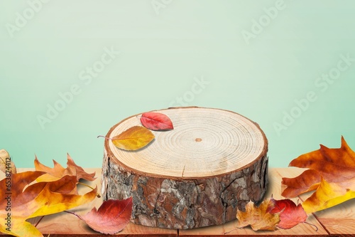 Autumn podium natural wood with foliage.