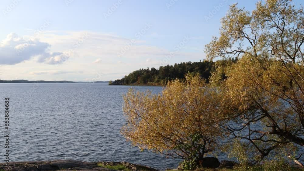 Landscape view at a lake. Autumn tree. Stockholm, Sweden. Landscape view at a lake. Autumn tree. Stockholm, Sweden.