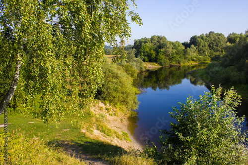 small river with a steep bank covered with grass and trees with a tree in the foreground and blue sky in Europe in Ukraine © Olexandr