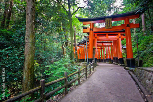 Torii gates at fushimi inari buddhist temple in kyoto in japan 