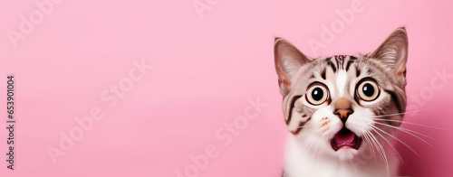 Surprised shocked cat face with open mouth and big eyes isolated on flat pink background. Pet shop banner template with copy space. 