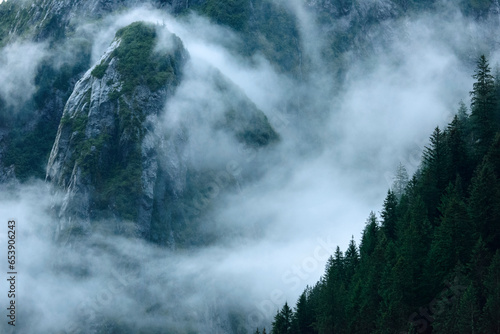 Morning fog on a mountainside in the Tracy Arm-Fords Terror Wilderness Area in Tracy Arm of Inside Passage, Alaska, USA; Alaska, United States of America