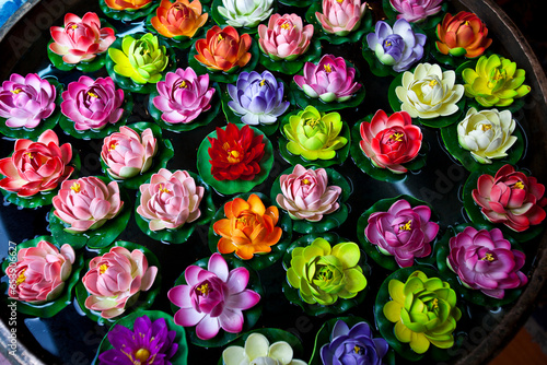 Vibrant coloured lotus flowers floating in a vase; Lhasa, Tibet photo