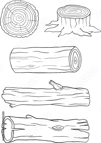 Hand drawn Vector Illustration of Wood Material Elements  - Black and white, Black line vector