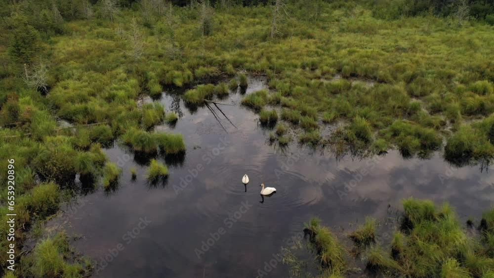 The Midwest, Aerial view. Wilderness, wildlife, nature The Midwest, Aerial view. Wilderness, wildlife, nature
