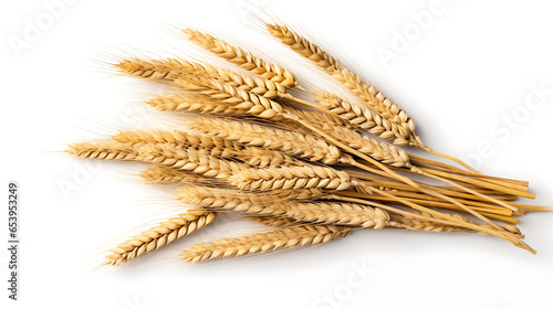 Many ears of wheat and grains on white background. Top view