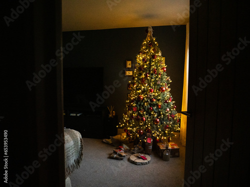 A beautiful Christmas tree decorating the living room in a middle class home