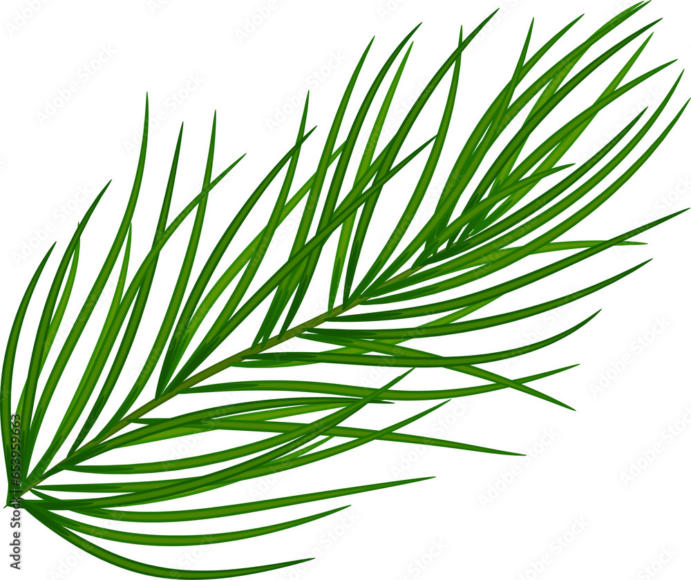 Green pine branches, close-up. Christmas decor and garlands. New Year. Holiday decor. Illustration, on transparent, png. Green pine branches, close-up. Christmas decor and garlands. New Year. Holiday decor. Illustration, on transparent, png.