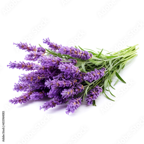 Lavender flowers delicate color isolated on white background close-up