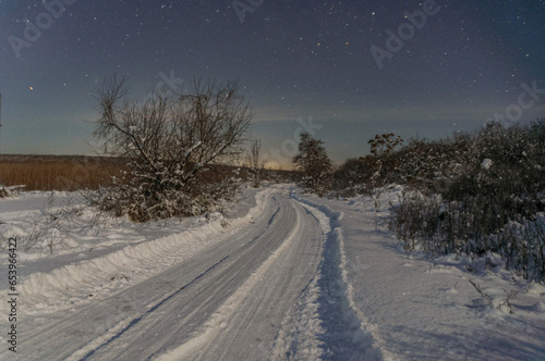 Snowy night landscape with a rural snow-covered road and snow-covered trees against a blue starry sky.