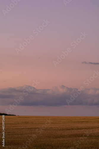 Mown wheat field against a violet sky with a long cloud.