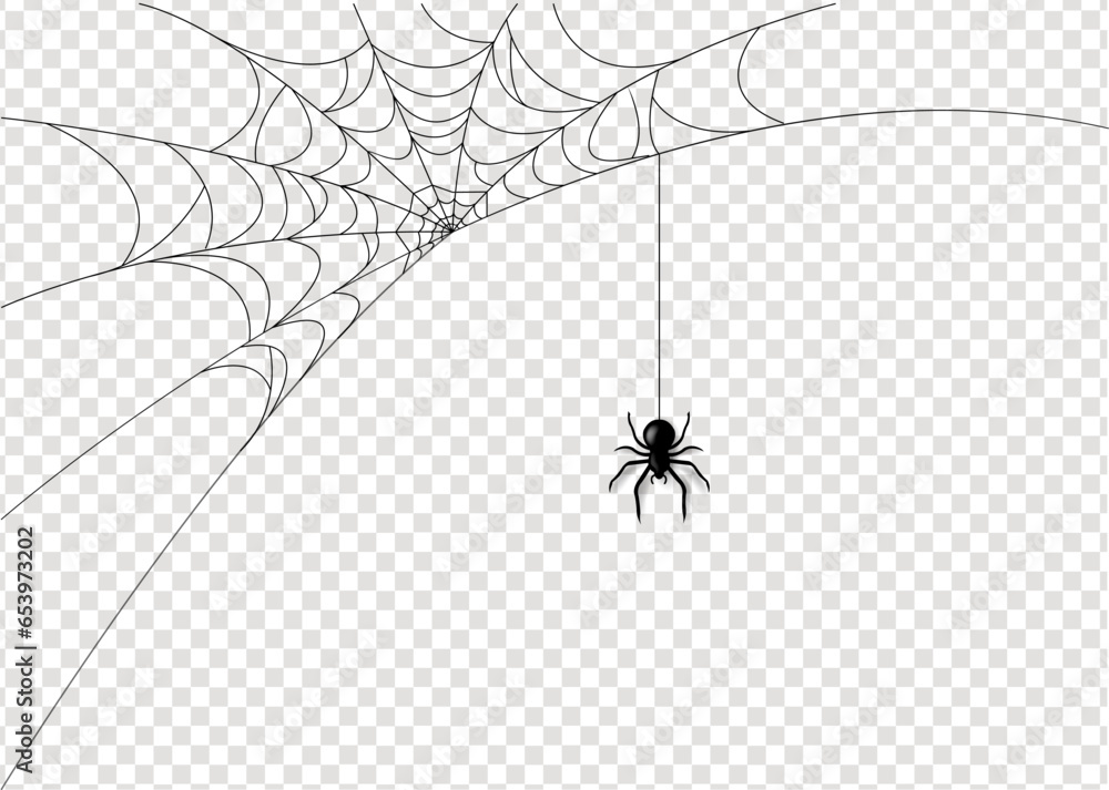 Spider With Isolated White Background - obrazy, fototapety, plakaty 