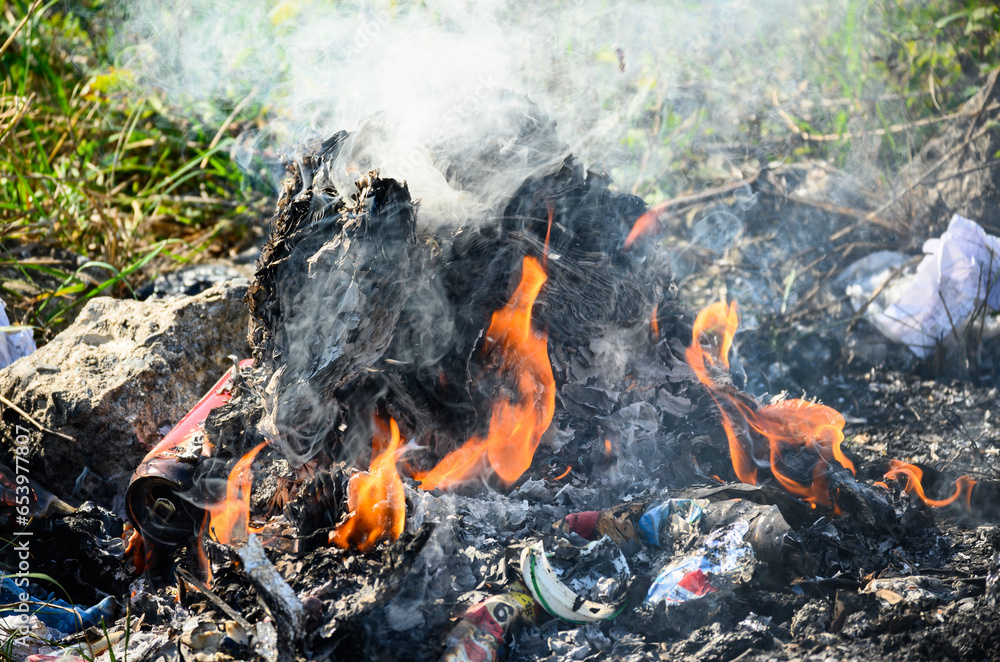 Waste incineration. Pollution due to the burning of garbage. Waste incineration. Pollution due to the burning of garbage.