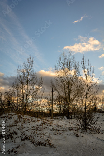 Trees on the Sandy Shoreline, Framed by the Setting Sun © Kykes_