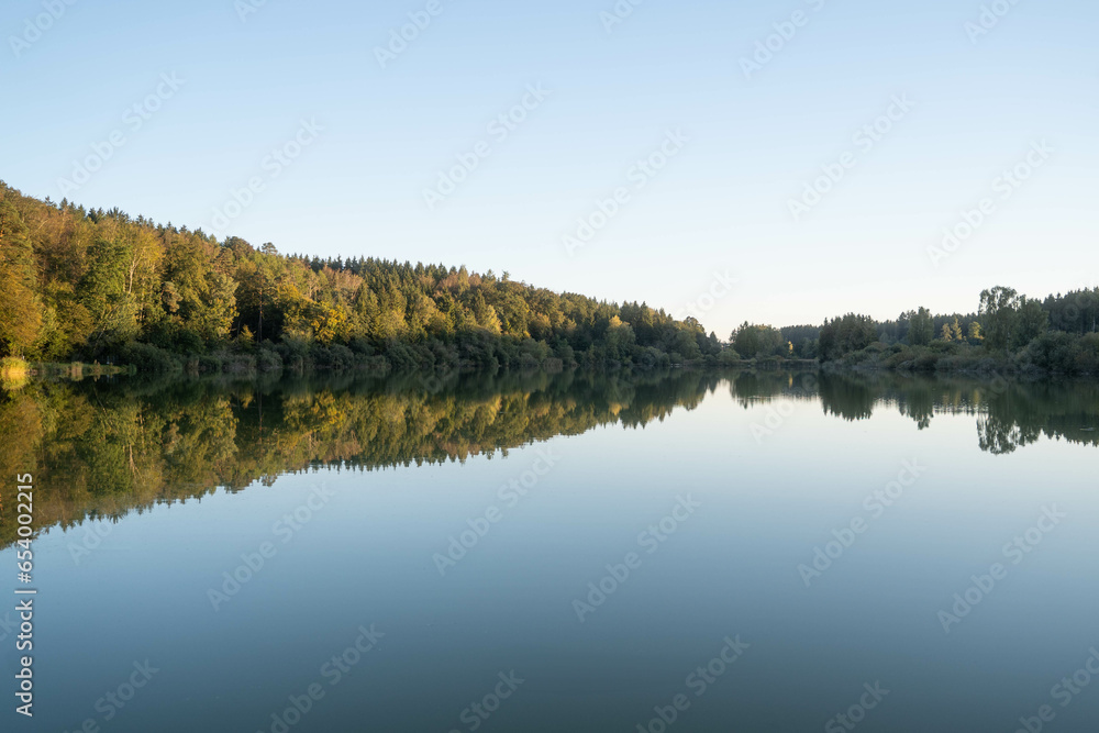 Perfect reflection of trees in a calm lake