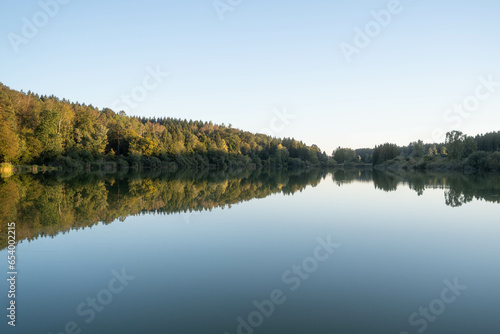 Perfect reflection of trees in a calm lake