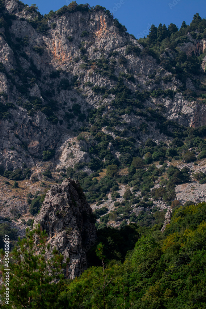 A limestone peak with some spruces on top.