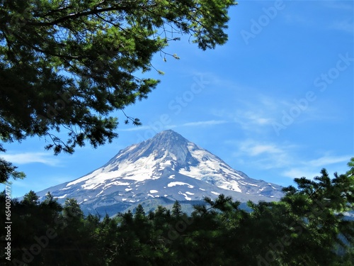 Picturesque view on the peak of Mount Hood through the brunches of pine trees. Mount Hood, Oregon, USA.