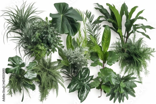 Collection of tropical foliage plants in a forest-like arrangement isolated on white background. Generative AI