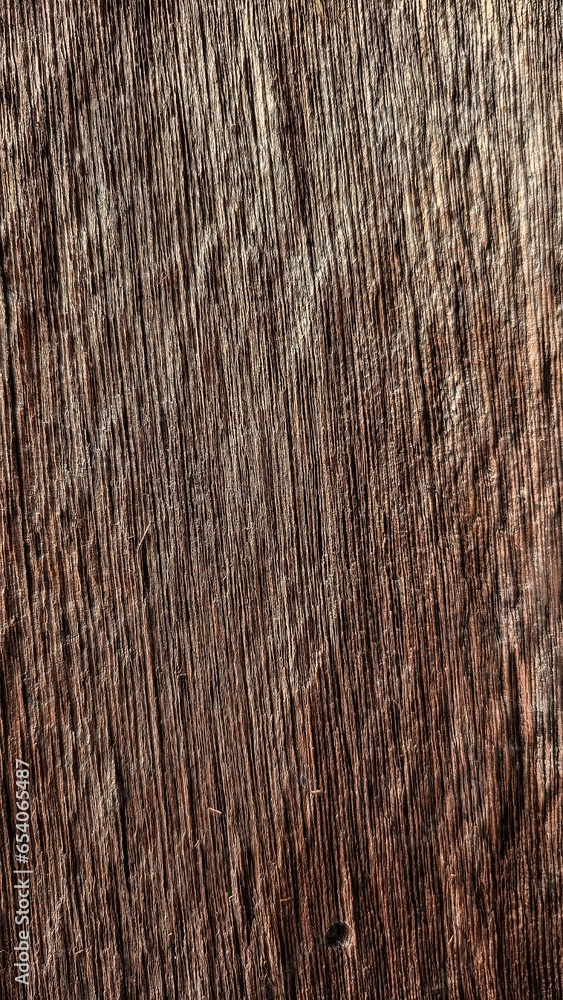 bark of a tree bark of a tree