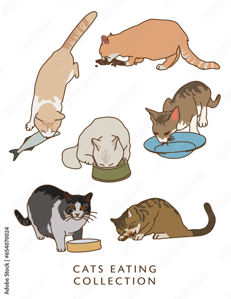 Fototapeta premium Cats Eating - Illustrations in Color! 