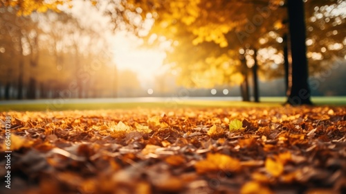 Beautiful autumn background with yellow and orange trees and sun. Colourful foliage in a park. Falling leaves natural background