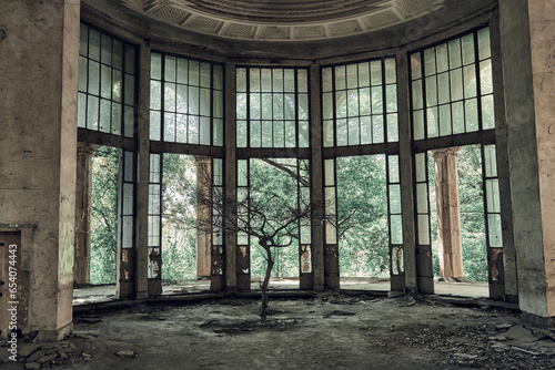 Abandoned soviet spa resort (sanatorium) Metallurg,  in Tskaltubo, Georgia. Dead tree in the centre of hall   photo