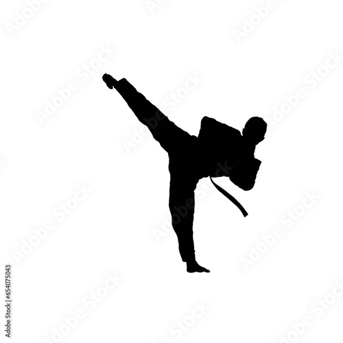 Karate. Karate silhouette. Karate black and white. Karate kick.