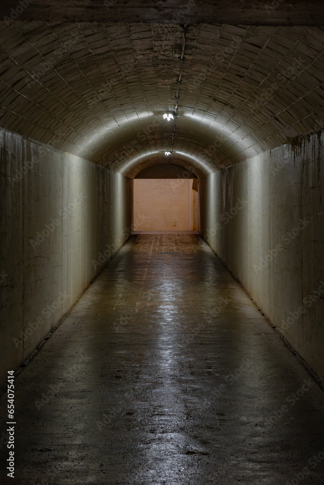 Obraz premium 奄美大島 手安弾薬本庫跡（てあんだんやくほんこあと）