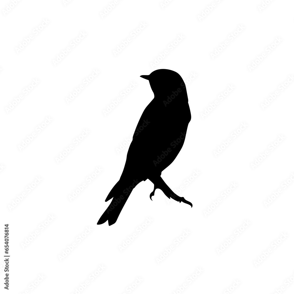 Obraz premium Bird vector png