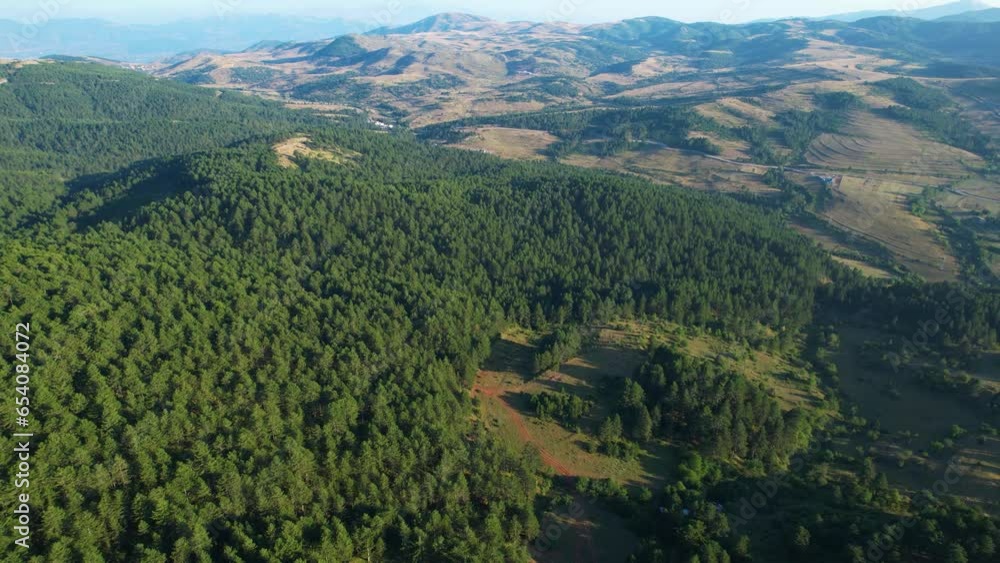 Pine Tree Forests Grace the Majestic Mountains of Albania, Nestled Near the Charming Touristic Village of Voskopoja Pine Tree Forests Grace the Majestic Mountains of Albania, Nestled Near the Charming Touristic Village of Voskopoja