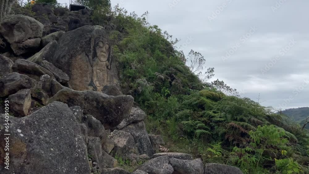custom made wallpaper toronto digitalCarved Chaquira totem rock overlooking Magdalena River canyon in San Agustin, Colombia.
