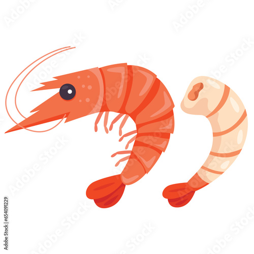 Illustrator of shrimp