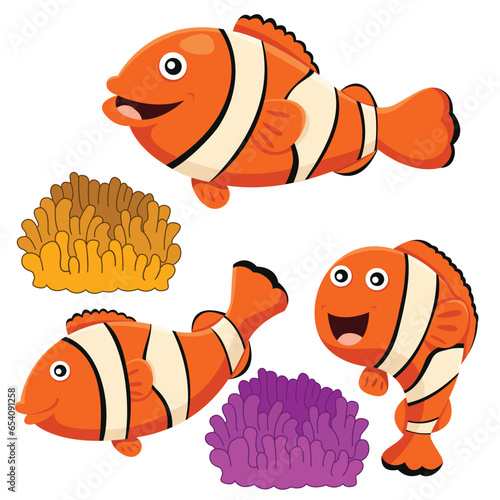 Illustrator of clown fish 