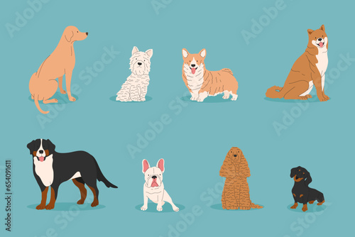 Dogs collection. Vector illustration of funny cartoon different breeds dogs in trendy flat style. French Bulldog  Rottweiler  Dachshund  Shiba  Labrador. Cute small and big pets.