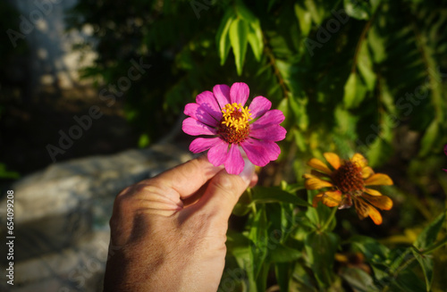 person holding flowers