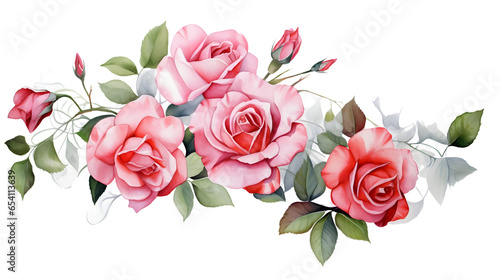 Watercolor flower roses  floral natural elements on transparent background