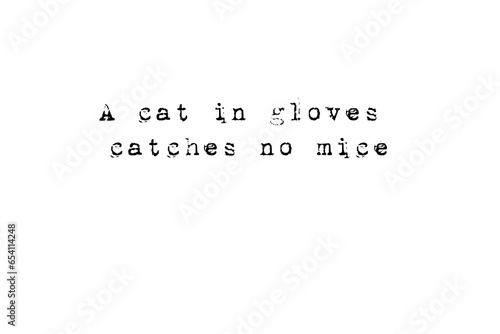 Fototapeta Naklejka Na Ścianę i Meble -  Digital png text of a cat with gloves catches no mice on transparent background