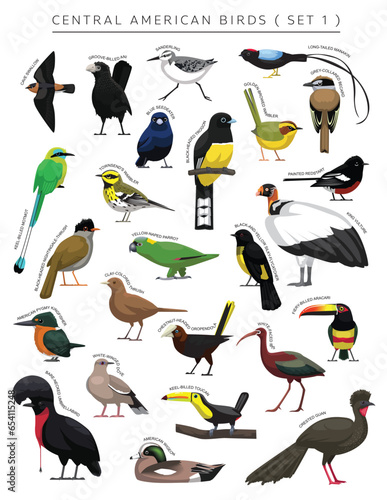 Central American Birds Set Cartoon Vector Character 1