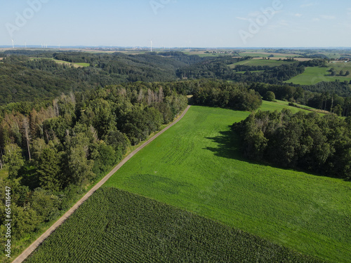 Fototapeta Naklejka Na Ścianę i Meble -  Landscape from above with a cornfield, grass and trees in summer 
