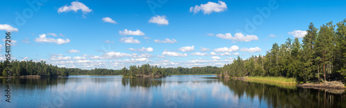 Fototapeta Naklejka Na Ścianę i Meble -  forest lake in summer