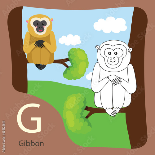 Illustration  of gibbon isolated and coloring