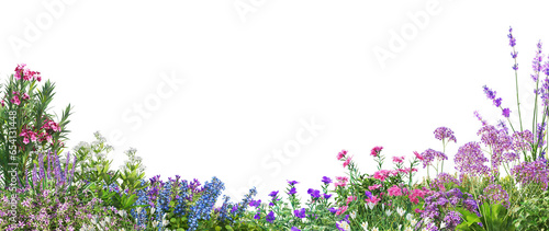 3D render Foreground flowers and multiple plants on transparent background