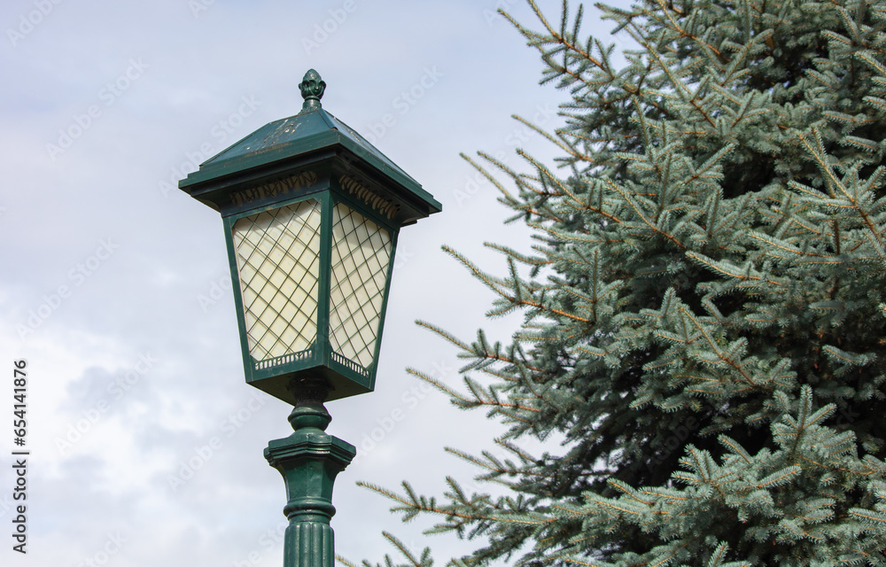 Street lamp in the park