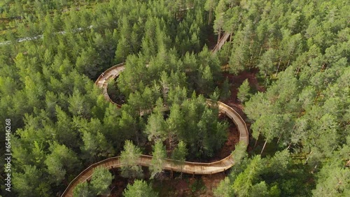 Top View Of Elevated Walking Trail Amongst Pine Tree Forest In Hamaren, Fyresdal, Telemark, Norway. Aerial Drone Shot photo