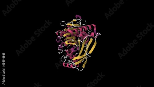 Crystal structure of native recombinant human bile salt activated lipase. Animated 3D cartoon and Gaussian surface model, secondary structure color scheme, PDB 6h0t, black background photo